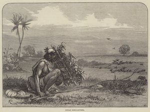 Indiase Vogelvanger